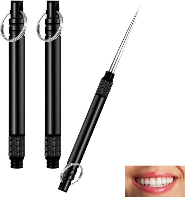 3 Pieces Portable Titanium Toothpicks, Metal Pocket Toothpick Reusable Toothpicks With Stainless Steel Toothpick Holder for Outdoor Camping, Picnic, Travel