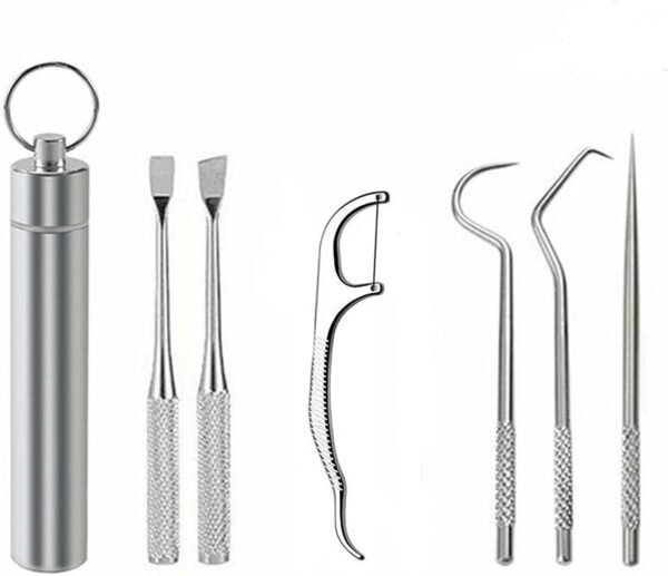 6 PCS Portable Stainless Toothpick,Metal Toothpick,Reusable Toothpicks and Toothpick Holder for Various Dining Scenes Especially Outdoor Picnic Camping Traveling Supplies