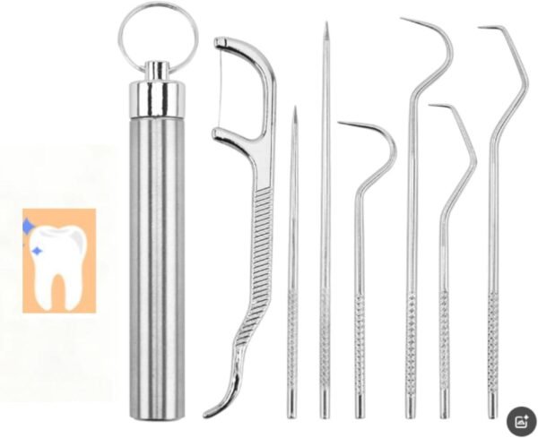 7-Piece Stainless Steel Toothpick Set with Case for Travel & Everyday Use﻿ | Includes multiple cleaning tip with portable keychain holder, used for camping, hiking, office, dining and outdoor activiti