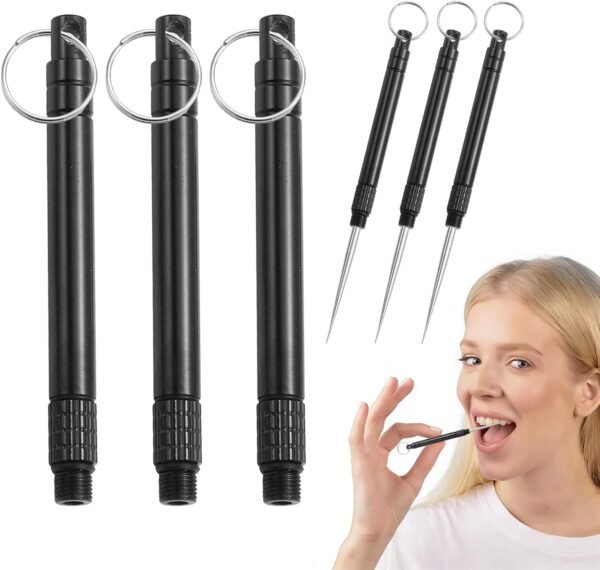 3 Pcs Portable Titanium Toothpicks Reusable Metal Tooth Picks with Stainless Steel Toothpick Holder Keychain for Camping Hiking Picnic Travel Pocket Tool for Adults